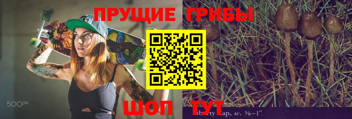наркошоп  Вход с VPN  Саров  Галлюциногенные грибы MAGIC MUSHROOMS 